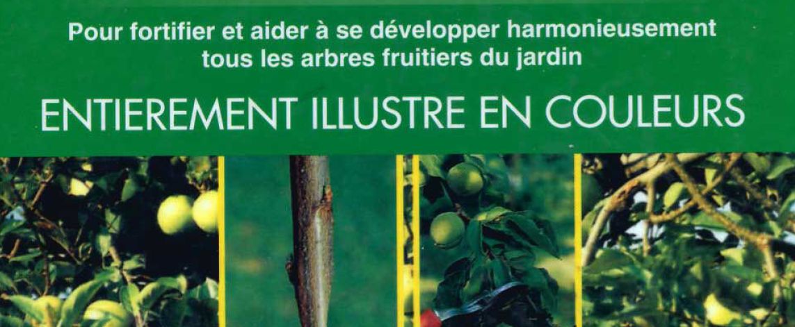 Grand livre taille - image