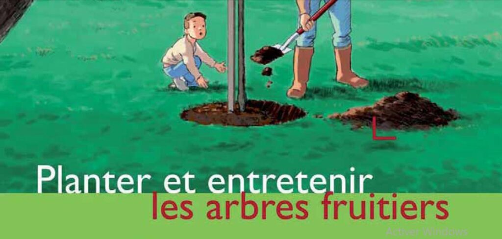 Planter et entretenir les arbres fruitiers - image