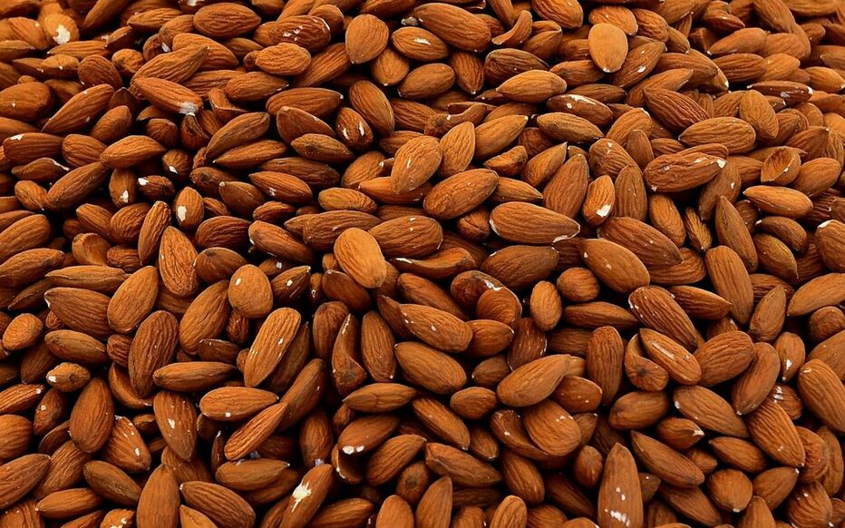 amandier - amandes - image