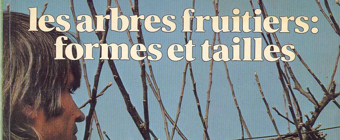 arbres fruitiers forme taille - image