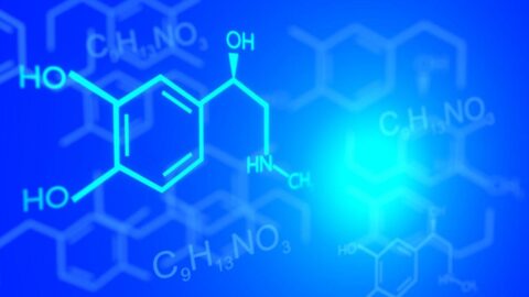 chimie cellulaaire - image