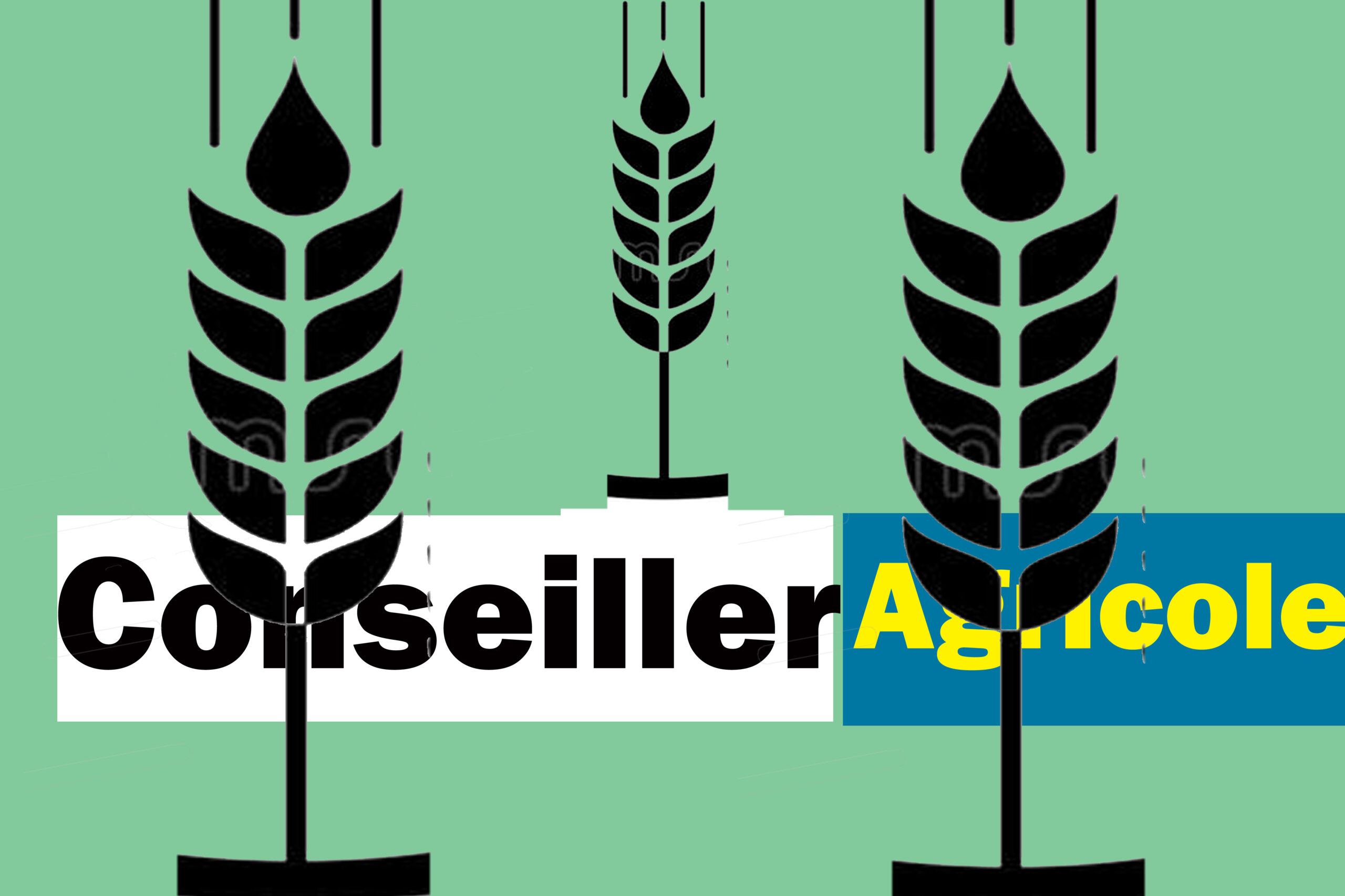 conseiller agricole - sante-tube.com - image