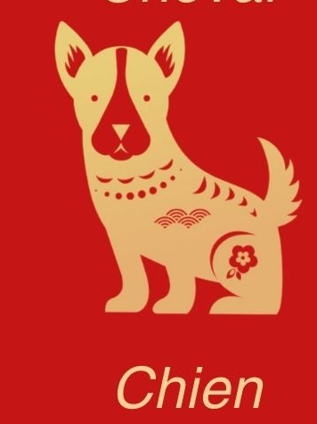 chien - astrologie chinoise - sante-tube.com - image