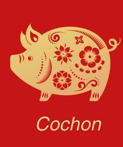 cochon - astrologie chinoise - sante-tube.com - image