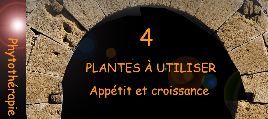 appétit et croissance - santé-tube.com - image