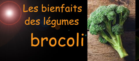 brocoli , les bienfaits des légumes sur la santé , sante-tube.com , image