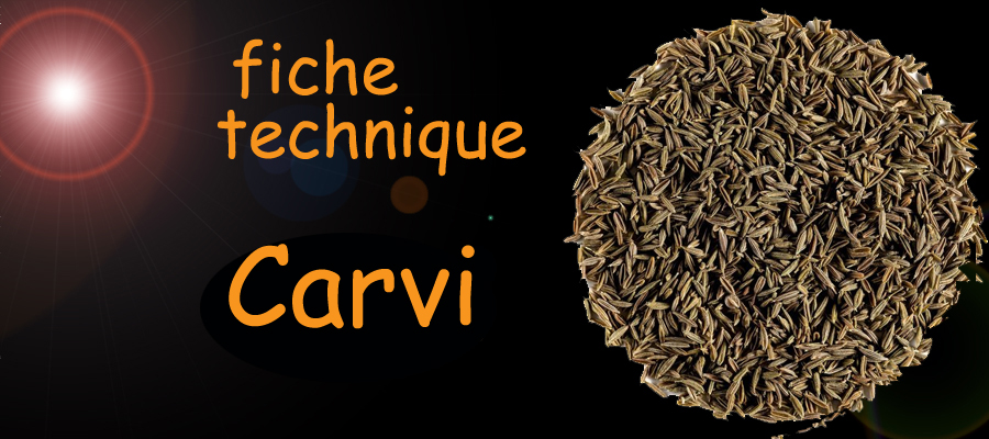 carvi fiche technique