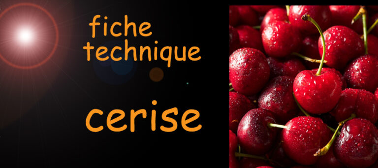 fiche technique de cerise – Santé tube