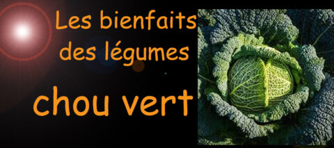 chou vert , les bienfaits des légumes sur la santé , image