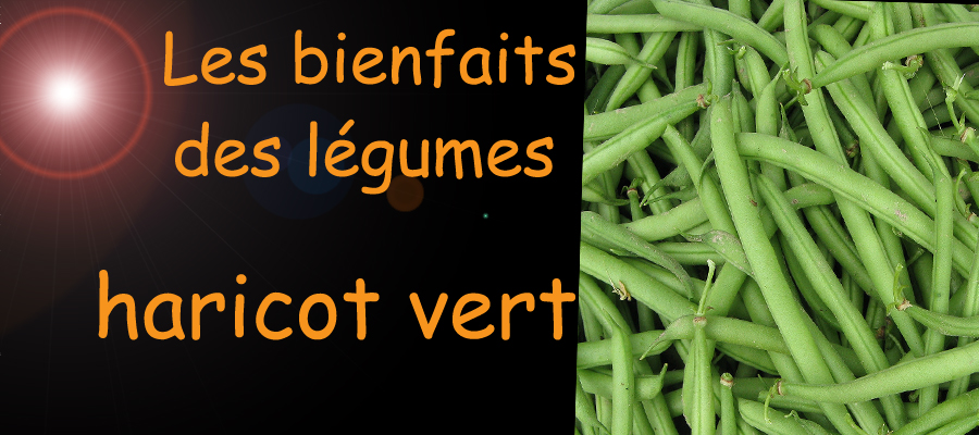 haricot vert , les bienfaits des légumes sur la santé , sante-tube.com , image