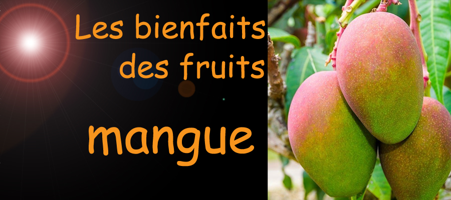 mangue , les bienfaits des fruits sur la santé , image