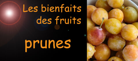 prune , les bienfaits des fruits sur la santé , image