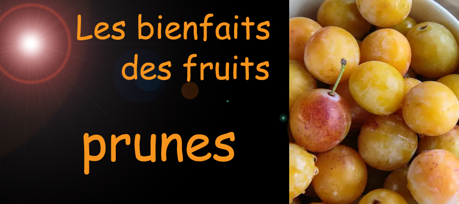 prune , les bienfaits des fruits sur la santé , image