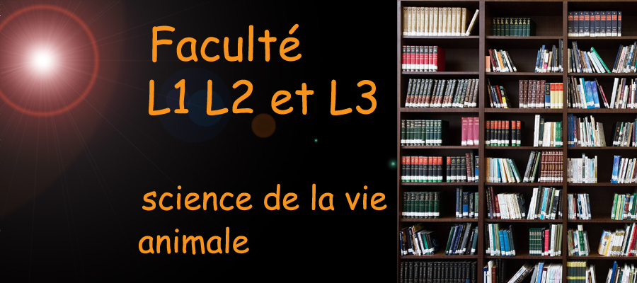 science de la vie animale - niveau L1 L2 et L3 - image