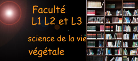 science de vie végétale - niveau L1 L2 et L3 - image