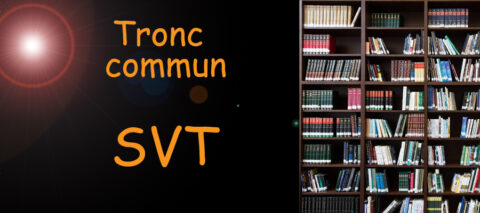 svt - niveau tronc commun - image